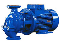 Combilinebloc Johnson Pump