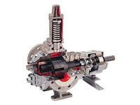 Pompe ad ingranaggi TopGear H - Johnson Pump